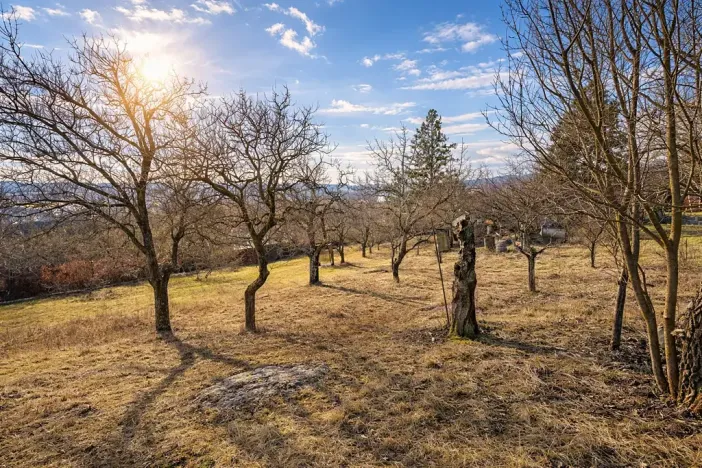 Prodej zahrady, Brno, Jámy, 1885 m2