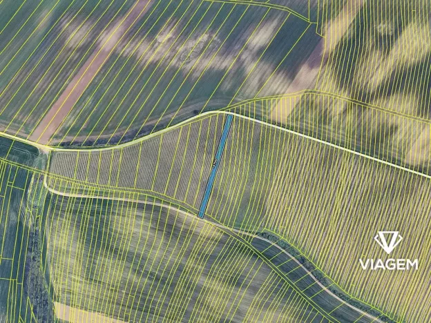 Prodej podílu pole, Šitbořice, 368 m2