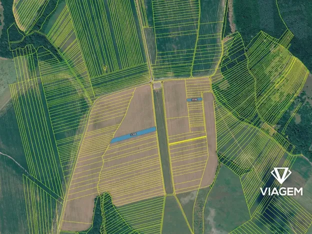 Prodej pole, Drslavice, 4361 m2
