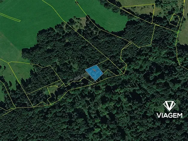 Prodej lesa, Česká Kamenice, 1794 m2