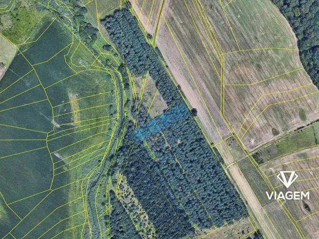 Prodej lesa, Břeclav, 3435 m2