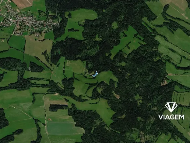 Prodej lesa, Postřelmůvek, 1909 m2