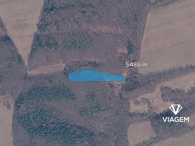 Prodej podílu lesa, Březůvky, 1828 m2