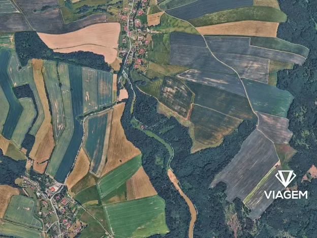 Prodej lesa, Jindřichov, 1945 m2