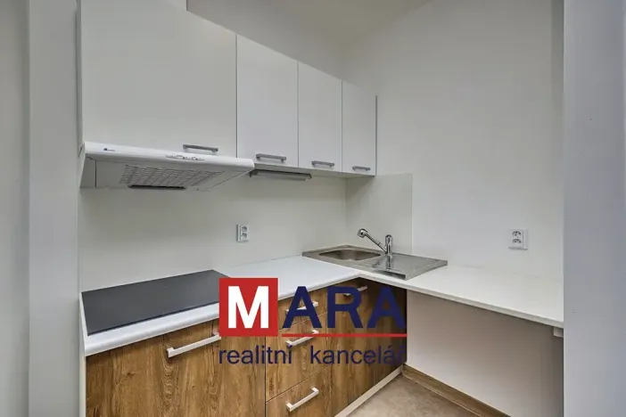 Pronájem bytu 1+kk, Olomouc, Přichystalova, 47 m2