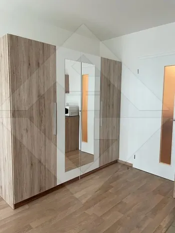 Pronájem bytu 1+kk, Praha - Žižkov, Olgy Havlové, 37 m2