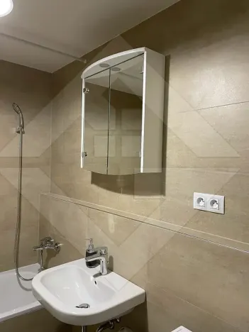 Pronájem bytu 1+kk, Praha - Žižkov, Olgy Havlové, 37 m2