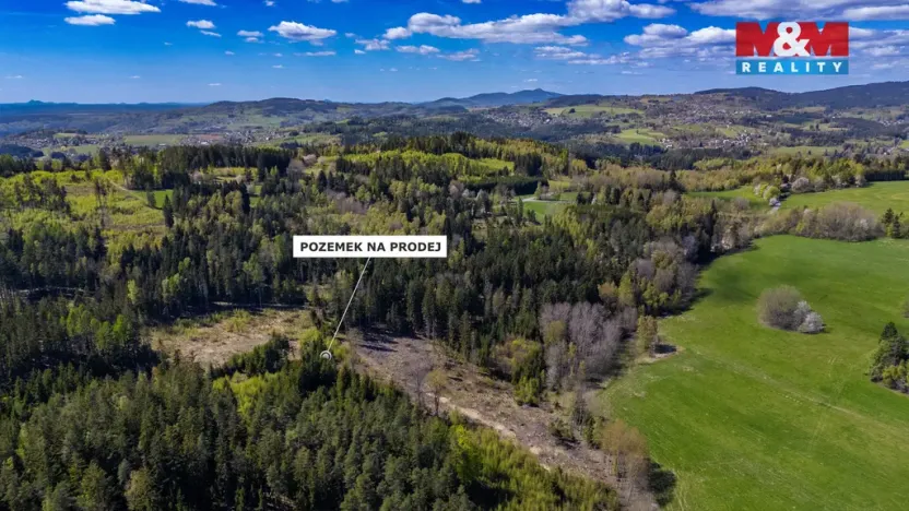 Prodej lesa, Železný Brod, 11203 m2