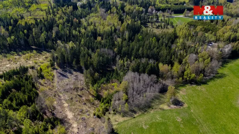 Prodej lesa, Železný Brod, 11203 m2