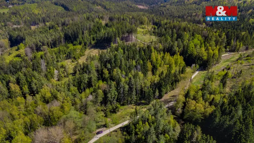 Prodej lesa, Železný Brod, 11203 m2