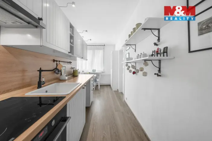 Prodej bytu 2+1, Ústí nad Labem - Krásné Březno, U Pivovarské zahrady, 65 m2