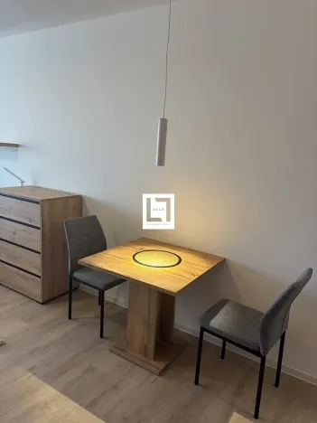 Pronájem bytu 1+kk, Olomouc, Aloise Rašína, 38 m2
