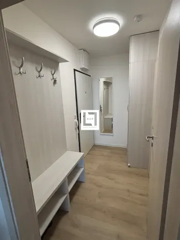 Pronájem bytu 1+kk, Olomouc, Aloise Rašína, 38 m2