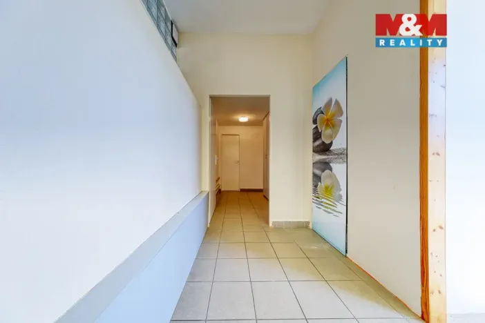 Prodej obchodního prostoru, Písek - Pražské Předměstí, Čechova, 53 m2