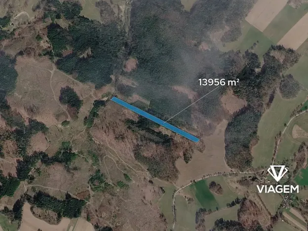 Prodej lesa, Řečice, 13956 m2
