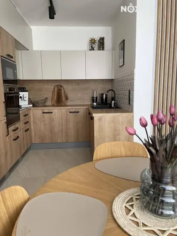 Pronájem bytu 2+kk, Rudník, 50 m2