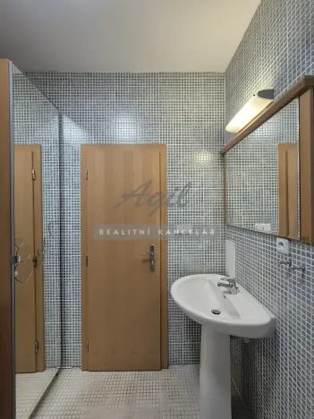 Pronájem bytu 1+kk, Brno, 56 m2