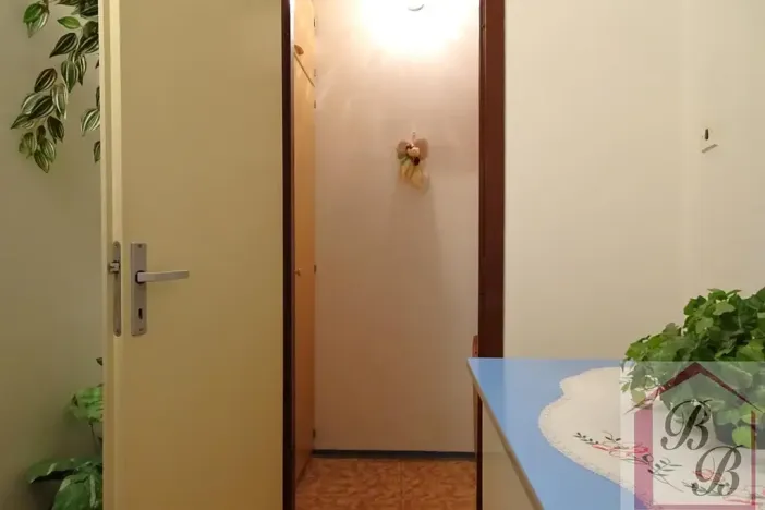 Pronájem bytu 1+1, Doksy, Hálkova, 42 m2