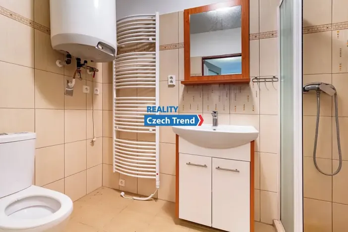 Prodej zemědělské usedlosti, Medlov, 110 m2