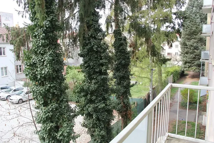 Pronájem bytu 2+1, České Budějovice, Nádražní, 48 m2