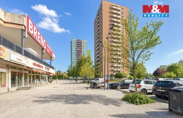 Prodej bytu 1+1, Ostrava - Hrabůvka, Dr. Martínka, 38 m2