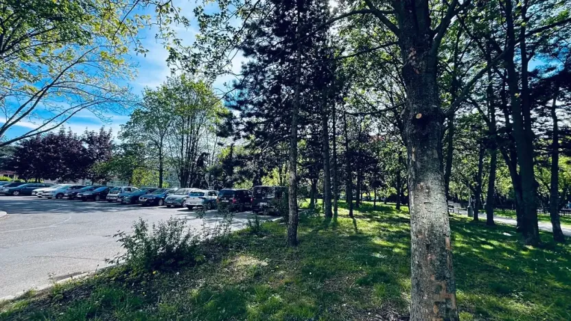 Pronájem bytu 2+kk, Praha - Kobylisy, Taussigova, 48 m2
