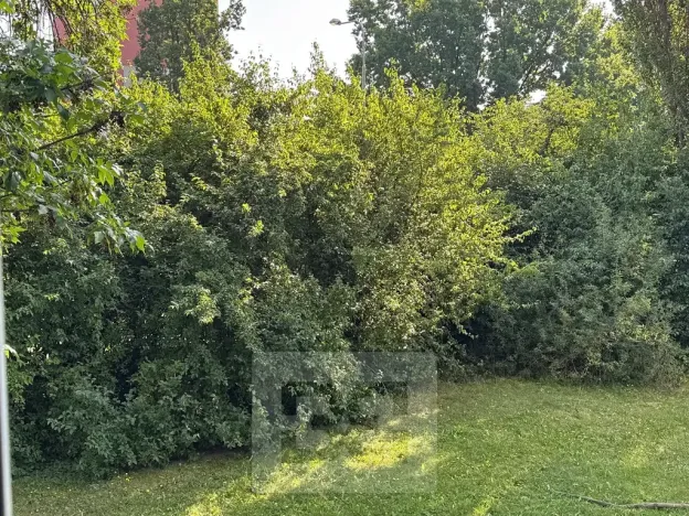 Pronájem bytu 2+1, Olomouc, Foerstrova, 45 m2