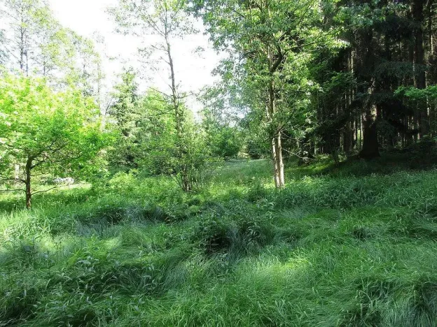 Prodej louky, Velký Šenov - Leopoldka, 3266 m2