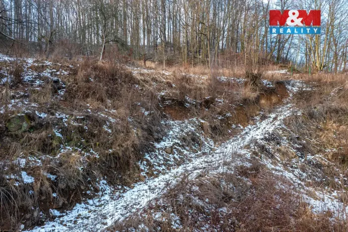 Prodej pozemku pro bydlení, Benešov nad Ploučnicí, 4585 m2