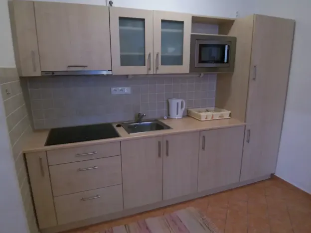 Pronájem bytu 2+kk, Praha - Dejvice, Thákurova, 32 m2