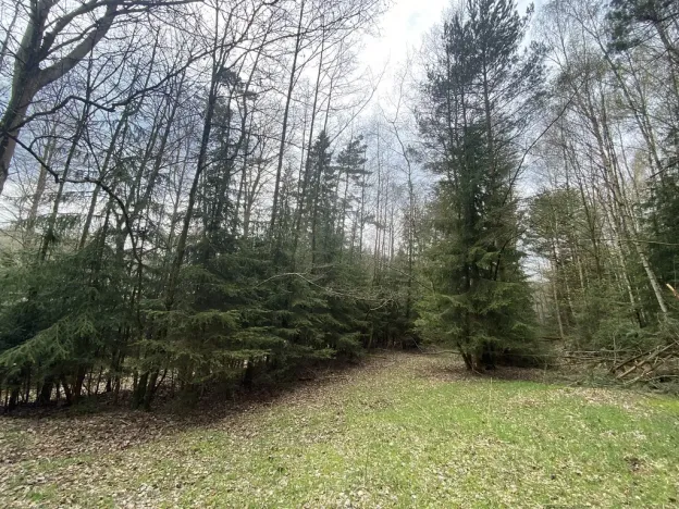 Prodej pozemku, Volfířov - Brandlín, 5958 m2