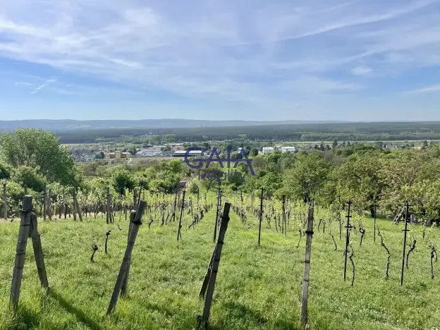 Prodej zahrady, Bzenec, 4488 m2