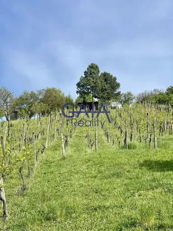 Prodej zahrady, Bzenec, 4488 m2