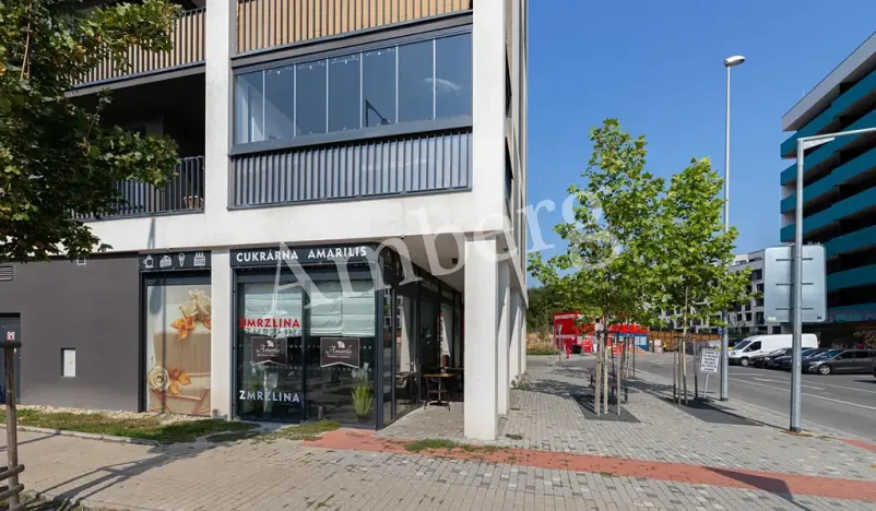 Prodej bytu 2+kk, Praha - Žižkov, Na Vackově, 53 m2