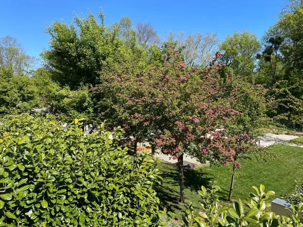 Prodej bytu 3+kk, Hlohovec, K zámečku, 66 m2