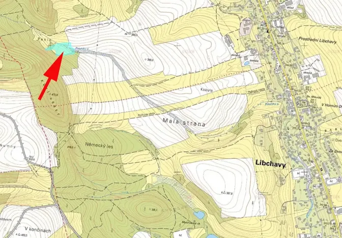 Prodej louky, Libchavy, 8415 m2