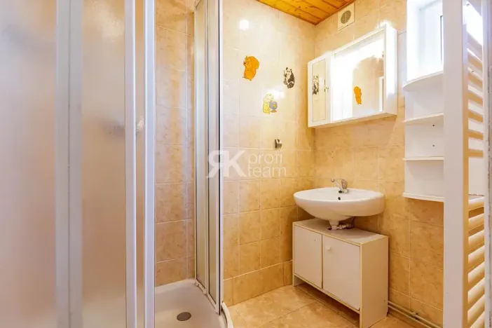 Prodej vícegeneračního domu, Ostrava, 1. května, 170 m2
