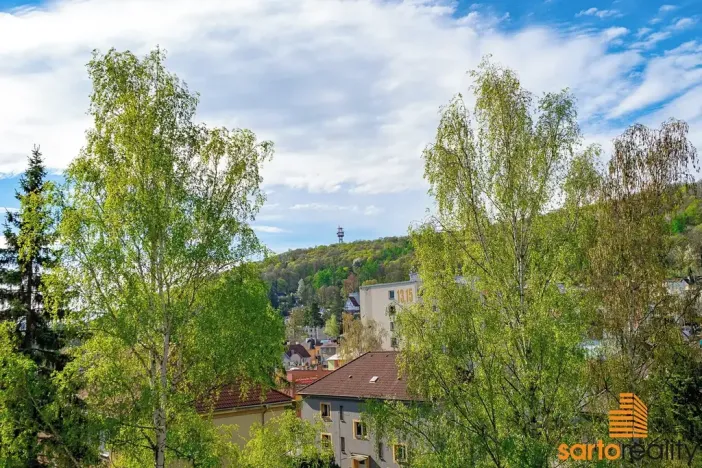 Prodej bytu 2+1, Ústí nad Labem, Jožky Jabůrkové, 51 m2