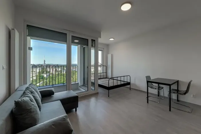 Pronájem bytu 1+kk, Praha - Žižkov, Olgy Havlové, 35 m2