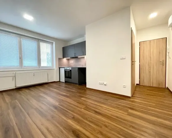 Prodej bytu 1+kk, Lovosice, Sady pionýrů, 25 m2