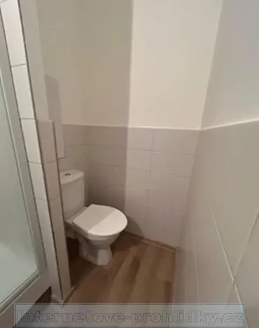 Pronájem bytu 1+kk, Chlumec, 21 m2