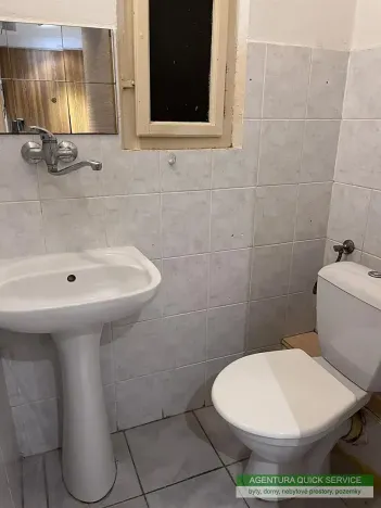 Pronájem bytu 1+kk, Praha - Žižkov, Kubelíkova, 29 m2