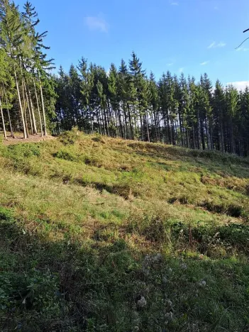 Prodej lesa, Zlín, Modřínová, 152613 m2