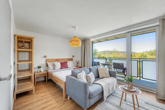 Prodej bytu 1+kk, Janov nad Nisou, 27 m2