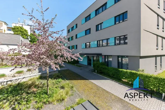 Pronájem bytu 2+kk, Praha - Holešovice, Dělnická, 52 m2
