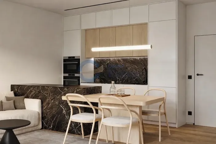 Prodej bytu 2+kk, Opava, Husova, 56 m2
