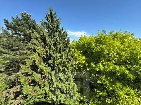 Pronájem bytu 3+1, Brno, 74 m2