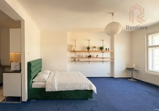 Pronájem bytu 1+kk, Praha - Vinohrady, Přemyslovská, 41 m2