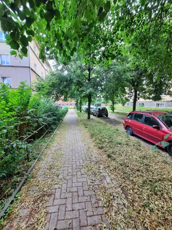 Prodej bytu 2+kk, Ústí nad Labem, Resslova, 42 m2