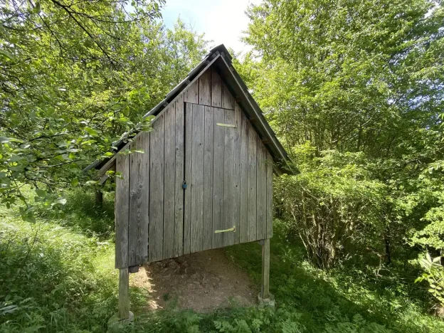 Prodej lesa, Šarovy, 11619 m2